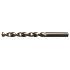 hss co hardhoutboren rvs 4 0x119mm
