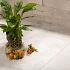 geoceramica motion shell beige 60x60x4cm