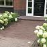 df gebakken bolton getr. 20x6 5x6cm 73st 