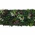 greenwall tropic b 50x50cm k002b 