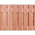 douglas 21 plankenscherm geschaafd blank 1 6x14cm 180x90cm