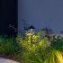nail 60